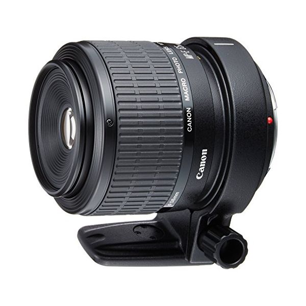 【中古】【１年引きうける】【美品】Canon MP-E 65粍 F2.8 1-5X マクロ命令映し絵