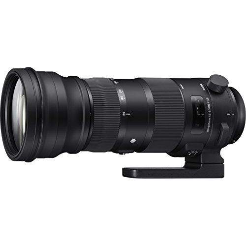 【中古】【１年保証】【美品】SIGMA Sports 150-600mm F5-6.3 DG OS HSM (ニコンF用)