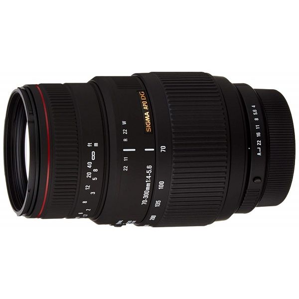 【中古】【１年保証】【美品】SIGMA APO 70-300mm F4-5.6 DG MACRO (キヤノンEF用)