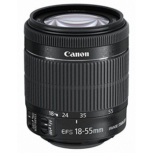 【中古】【１年保証】【美品】Canon EF-S 18-55mm F3.5-5.6 IS STM