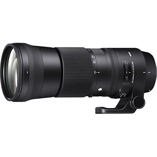 【中古】【１年保証】【美品】SIGMA Contemporary 150-600mm F5-6.3 DG OS HSM (キヤノンEF用)