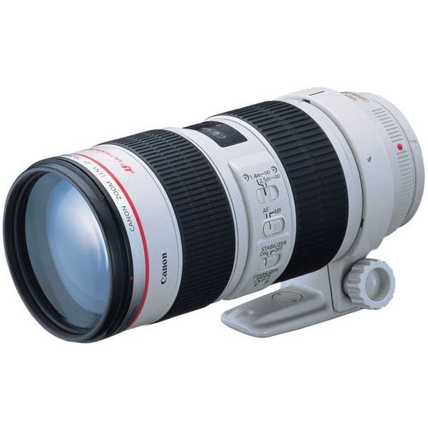 【中古美品✨】Canon EF28-300MM F3.5-5.6L IS USM 楽天市場】【中古】【1年保証】【美品】Canon EF 28-300mm F3.5