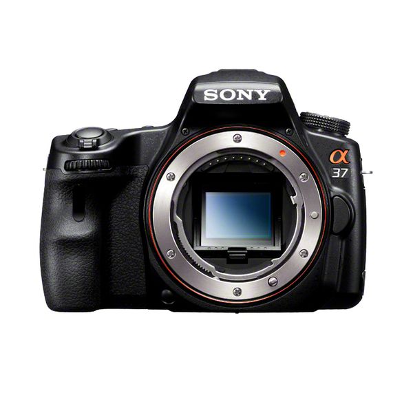 【中古】【１年引き受ける】【美品】SONY α37 上半身 [SLT-A37]