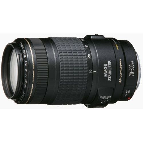 Canon - ☆極上品☆CANON キャノン Canon EF 75-300mmIII USMの+aei.art.br