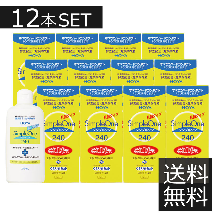 (貨物輸送無料)HOYA シンプルワン(240竓)×12本書き割り