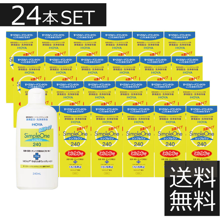 (貨物輸送無料)HOYA シンプルワン(240竓)×24本書き割り