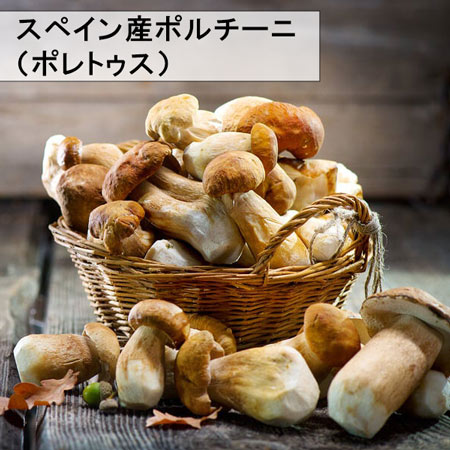 楽天市場】ヨーロッパ産 ポルチーニ茸 約1kg お取り寄せ 高級