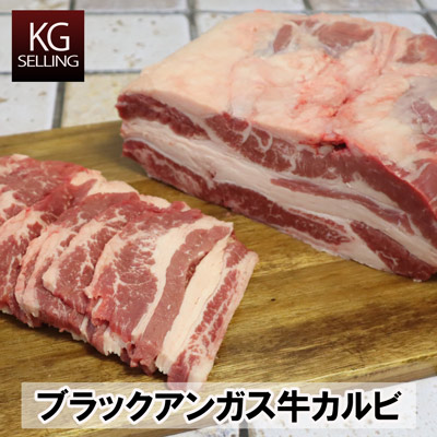 【不定貫】アメリカ産チョイス 牛カルビブロックハーフ約2.5kg ブラックアンガス 470円(税込)/100gあたり BONELESS BEEF PLATE KARUBI｜わたせい【プレミアムデリカ】