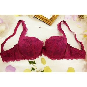 【ポイント5倍】 送料無料 チェスニー ビューティ CHASNEY BEAUTY ブラ パテッド ブラジャー Chicago Lace レディース 下着 インポート 高級 ランジェリー セクシー レース 補正 谷間 色気 かわいい リボン 大きいサイズ 紫 E F CB870/11G Cb010FU-ef
