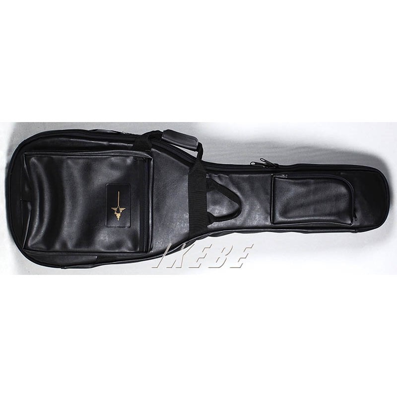 スタインバーガーシナプス　ナスカギグバックケース付 NAZCA IKEBE ORDER Protect Case for Guitar [スタインバーガー