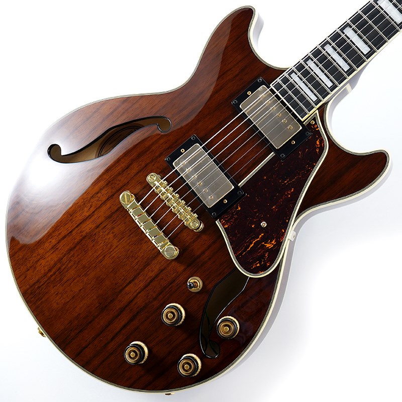 楽天市場】Ibanez Artcore Expressionist AS83 STE 新品