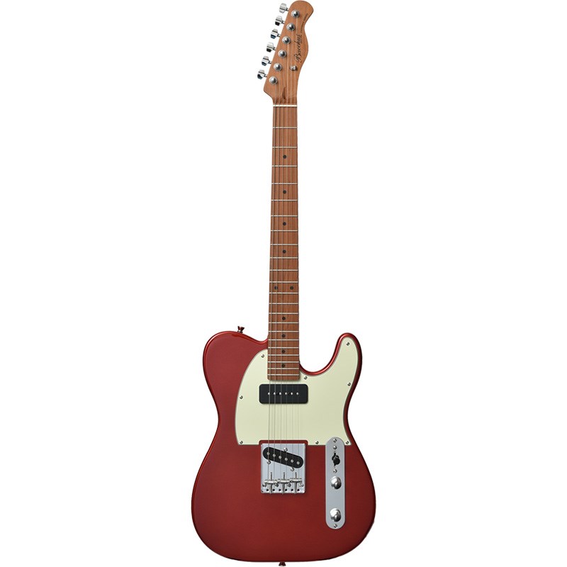 BACCHUS TELECASTER Type （管理サナ） BACCHUS TELECASTER Type （管理サナ） 楽器・機材 - ギター