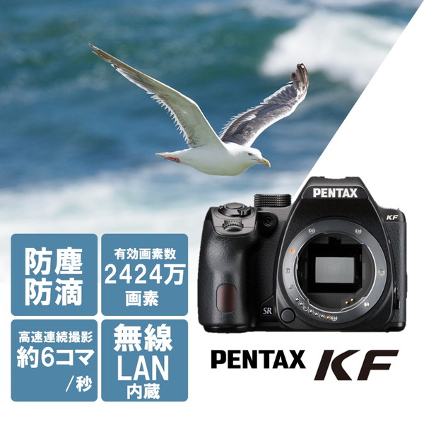 PENTAX Asahiflex カメラ ボディ シャッターOK ケース付 2025年最新】asahiflexの人気アイテム - メルカリ