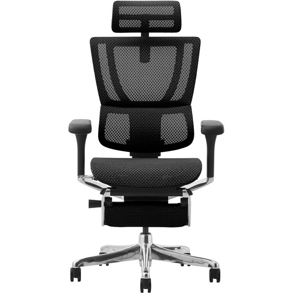 Ergohuman FIT2 Ottoman 459643 FIT2-LPL-DR-BF-BK エルゴヒューマン フィット2 アームレスト オットマン ランバーサポート リクライニング メッシュ リモートワーク 在宅勤務 エルゴノミクスチェア デスクチェア オフィスチェア 関家具 業務用 高級 椅子 おすすめ ブラック｜総合通販PREMOA 店 63,250円