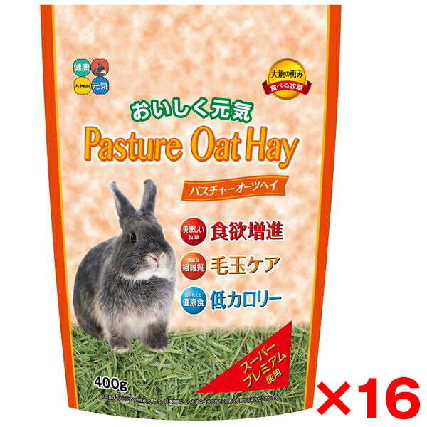 【16個セット】ハイペット パスチャー オーツヘイ 400g