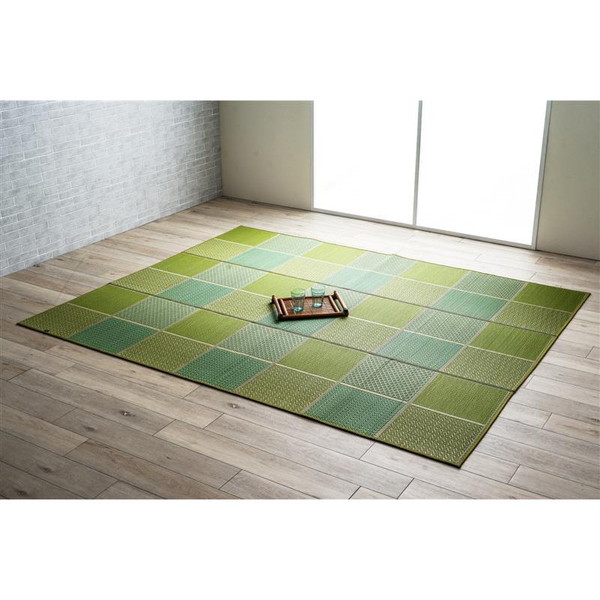 1052220126204 敷物 ラグ(い草) DXセルテ GN 210×250cm イケヒコ・コーポレーション メーカー直送