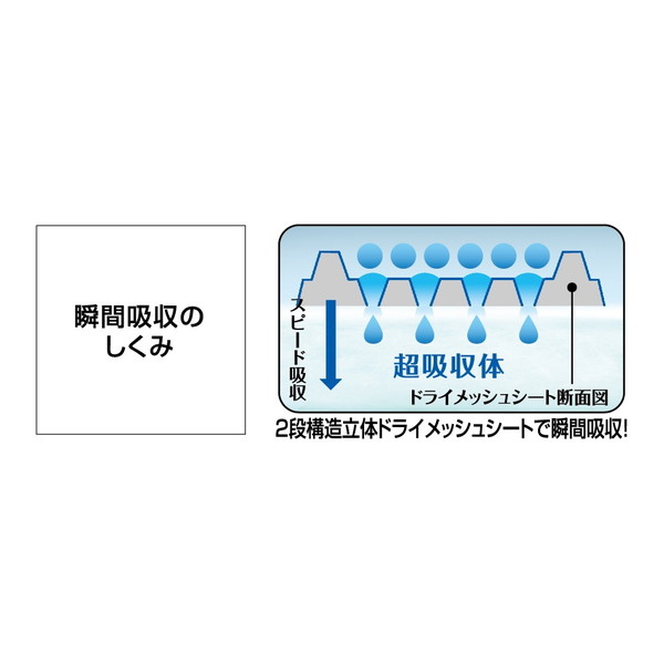2021新作】 ライオン LION サラリ Salari 瞬乾ペットシート レギュラー 50枚入×6個 ケース販売
