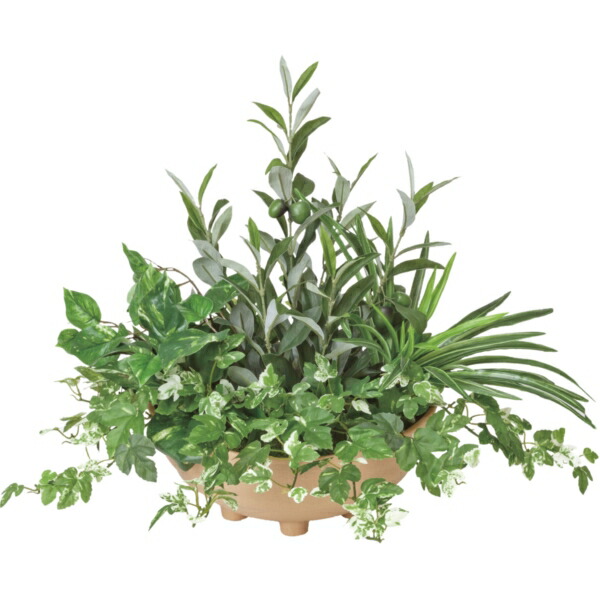 店 花 観葉植物 人口樹木 オリーブの花言葉は 平和 知恵 とされており平和の象徴として親しまれている観葉植物です アートナップ 3a100 3a100 寄せ植えオリーブ花 ガーデン Diy 寄せ植えオリーブ 総合通販premoa