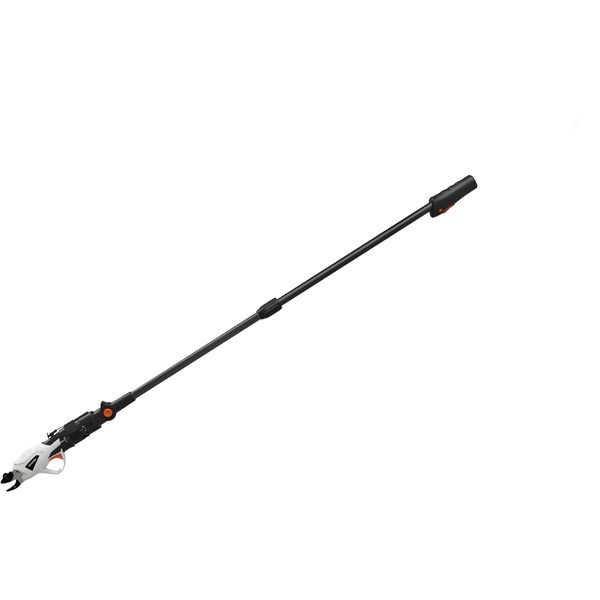 最終値引き品　山採り　アカシデ　H150cm W140cm 楽天市場】小アジ専科 135白スキン HS135 サビキ釣り仕掛け 鈎4