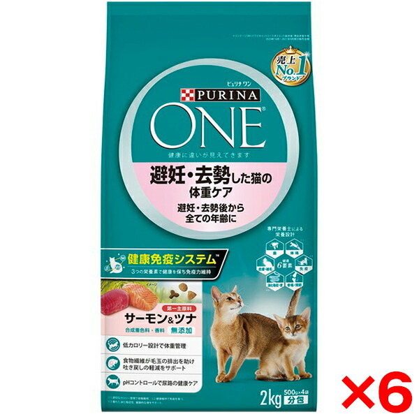 今年の余暇の予定を組むは決まりましたか？アウトドア特集 キャットフード・サプリメント-キャットフード-ペット・ペットグッズ
