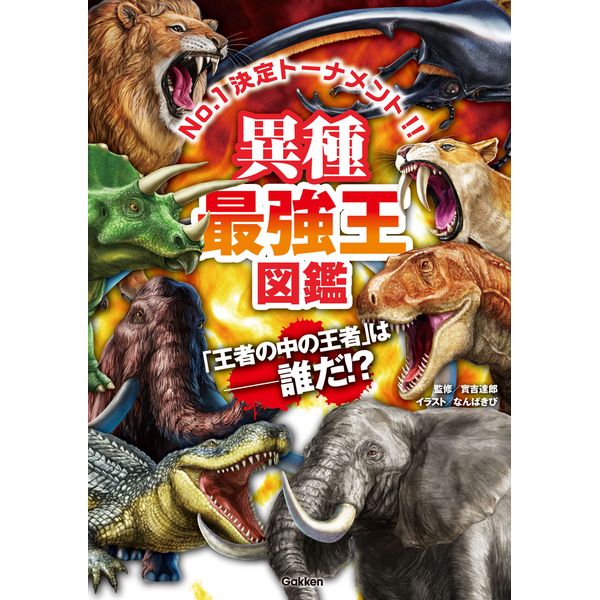 【最終価格❗️超貴重‼️図鑑書籍】表千家伝来　歴代家元道具 最終価格❗️超貴重‼️図鑑書籍】表千家伝来歴代家元道具
