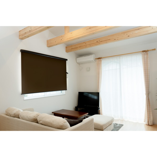 L3540 RSエクシヴ 180X220 SBR Fullness 遮光ブラウン [カバー付ロールスクリーン 遮光タイプ 180×220cm] メーカー直送