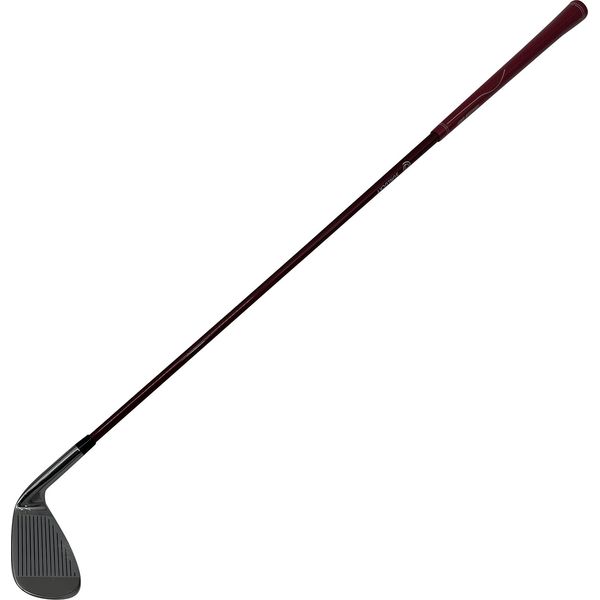 SUNLUCKY サンラッキー レクレーション オリジナルクラブDX シルバー SRS-J16B 楽天市場】SUNLUCKY サンラッキー レクレーション オリジナルクラブDX