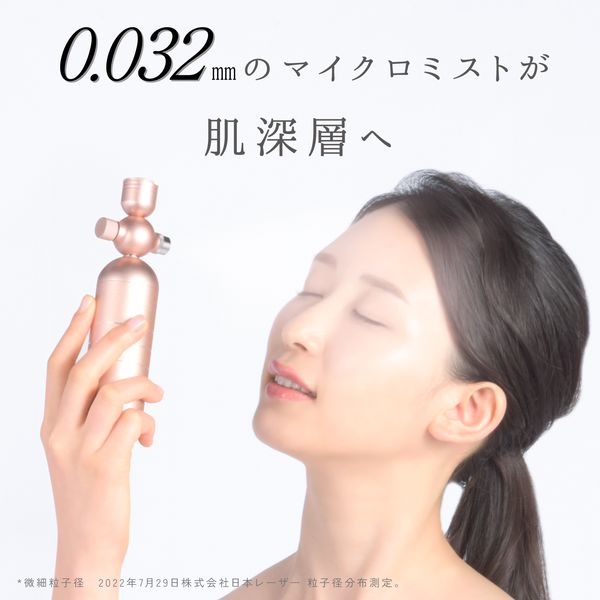Beapro19 withミスト リッチミストガン シルバー 大河商事