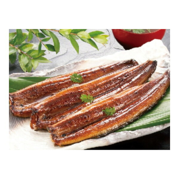 【冷凍】 マルマ中塩商店 マルマうなぎ蒲焼き 3尾 (計360g) メーカー直送 プレゼント ギフト