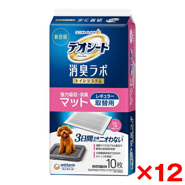 ～勝手もと家電特集～日毎夜毎の一皿分の料理が楽しげになる！