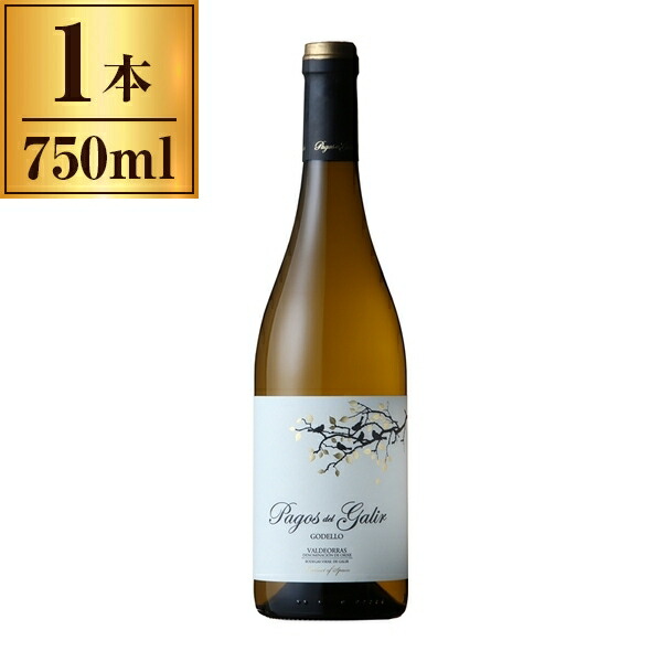 楽天市場】パゴ デ タルシス ヴィーノ デ パゴ ブロンクス ドルチェ 白