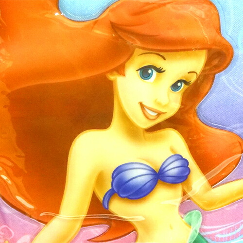 ディズニー姫 後衛風呂敷包み ムハンマドアリーエル Music And Dance プリンセス 電子郵便たより不可 Chspandc Org Au