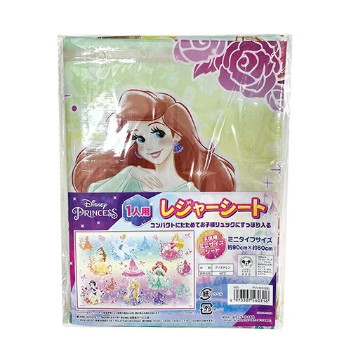 直送商品 ディズニープリンセス レジャーシート S 22 160 一人用 しきもの 敷物 レジャーマット ディズニー プリンセス 長方形 遠足 幼稚園 保育園 小学生 こども キッズ 女の子 入園準備 かわいい キャラクター グッズ 雑貨 スケーター Whitesforracialequity Org