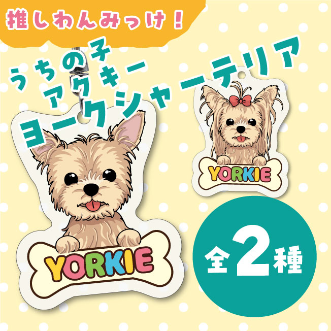 楽天市場】【メール便送料無料】ヨークシャーテリア キーホルダー