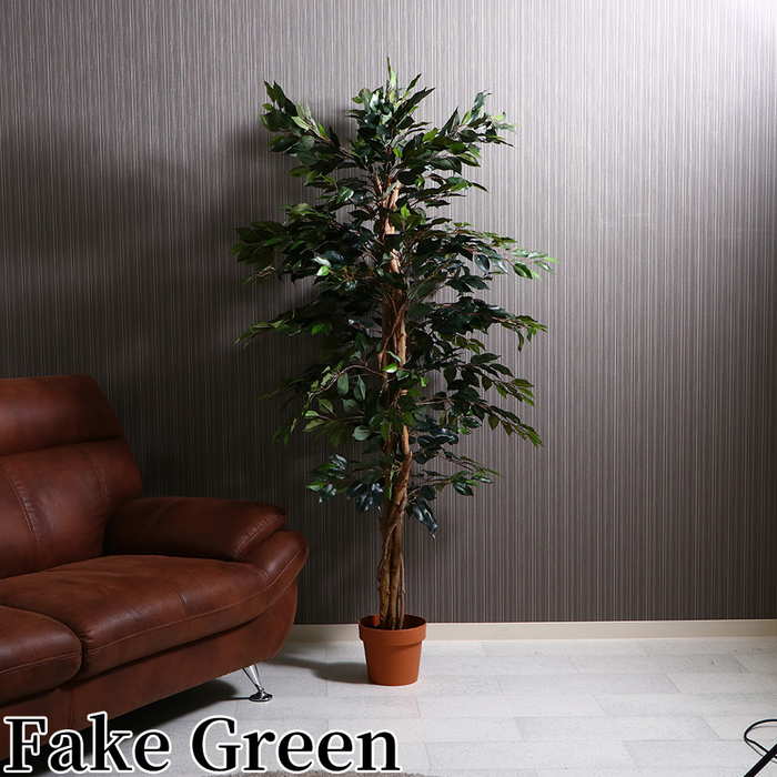 観葉植物 FGF-1124 フィカス 高さ1700mm 人工観葉植物 アートグリーン インテリア 装飾 鉢植え 造花 樹木 植木鉢 リビング 寝室 玄関 水やり不要 グリーン お洒落 おしゃれ ゴムの木 幅900mm 奥行900mm エントランス 入口
