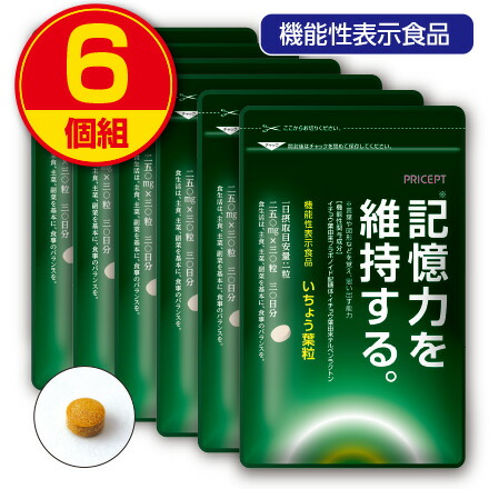 新着案内書