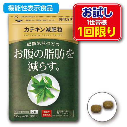 カテキン減脂粒　3袋　サプリメント カテキン減脂粒 DMJえがお生活 日本製 31日分 カテキン サプリ お腹の