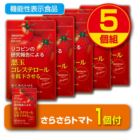 新着案内書