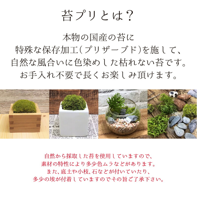 期間限定 レーキ 熊手,砂かき棒 ミニサイズ 枯山水キットオプション品 熊手