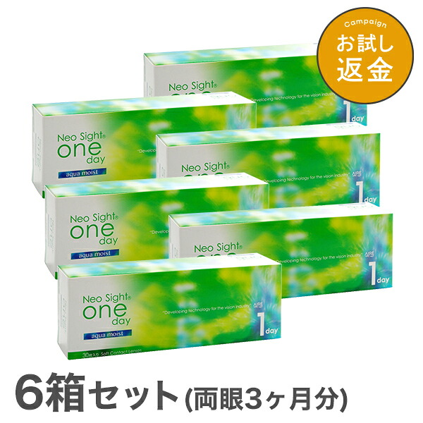 【貨物輸送無料】ネオサイトワンデーアクアモイスト 6箱 1日終日装用印字機（30枚入）株式会社アイレ【PT10】