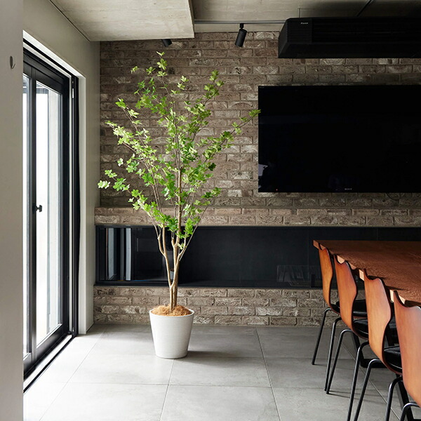 フェイクグリーン 人工観葉植物 大型 ドウダンツツジ Gwプランター Border White H195cm フェイクグリーン Greenpark セットアップ 別倉庫直送品 インテリア おしゃれ リアル イミテーション インテリアグリーン オフィス 開店祝い 開業祝い 玄関 リビング