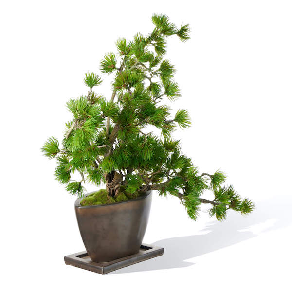 人工植物装飾花偽花ミニ鉢植え盆栽グリーン植物 超可爱の