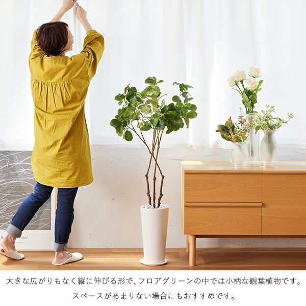 マグノリアリーフ皿付スリムプランター