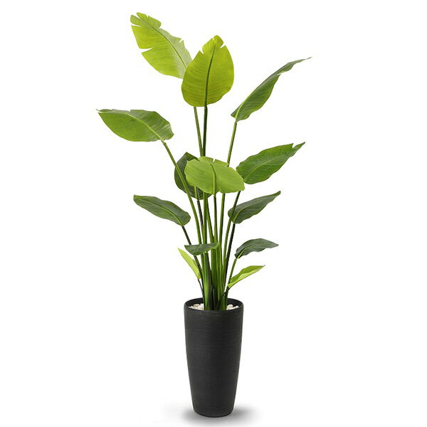 あす楽 フェイクグリーン 人工観葉植物 造花 大型 ストレチア Tpプランター Greenpark 観葉植物 観葉 植物 人工 人工植物 インテリアグリーン 御祝い 開業 開店 玄関 エントランス ストレリチア 新生活応援 Painfreepainrelief Com