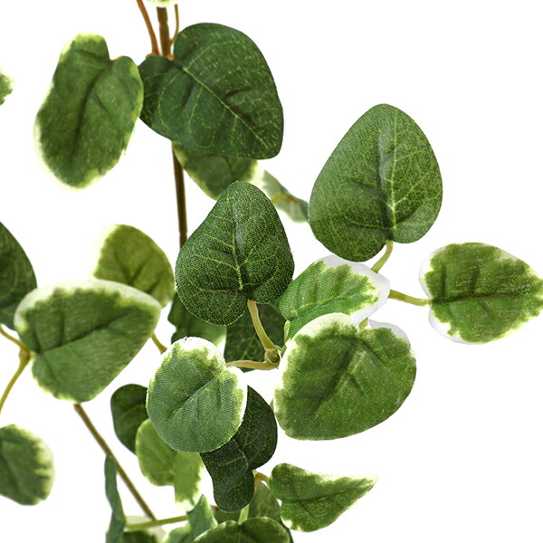 60 Off インテリア フェイクグリーン 人工観葉植物 造花プミラ シュガーバイン フレームグリーン ロング フェイクグリーンgreenpark 観葉植物 フェイク ウォールグリーン リアル お祝い インテリア イミテーション インテリアグリーン 壁 壁面 ディスプレイ オフィス