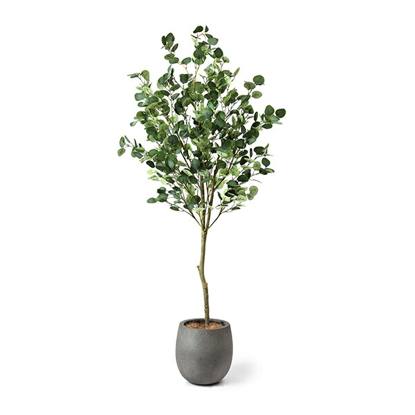 インテリア フェイクグリーン 人工観葉植物 造花 大型ユーカリ エッグポット Gray H185cm フェイクグリーン Greenpark セットアップ 別倉庫直送品 フェイク 玄関 オフィス 水やり不要 枯れないイミテーショングリーン アートグリーン おしゃれ Onpointchiro Com