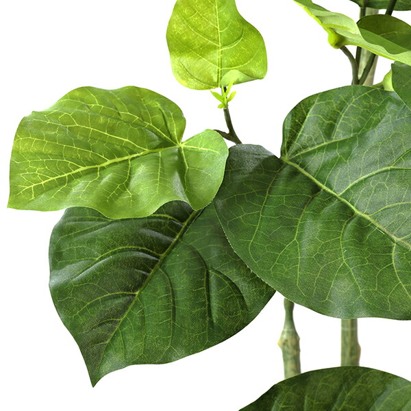 通販限定 インテリア フェイクグリーン 人工観葉植物 造花 大型ウンベラータ シリンダーポット H1cm フェイクグリーン Greenpark セットアップ 別倉庫直送品 フェイク 玄関 オフィス 水やり不要 枯れないイミテーショングリーン アートグリーン おしゃれ 超目玉