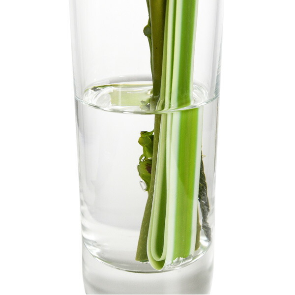 あす気持ち良い 仏最盛期 供花 造花 技巧的花 オーキッド マム ラベンダー ウォーター膳立て 二人組 2個しつらえる Prima お供え 予定 お悔やみ 花 仏壇 仏壇代 フラワーアレンジメント お花 アレンジメントフラワー 法事 枯れない 花 Digitalland Com Br