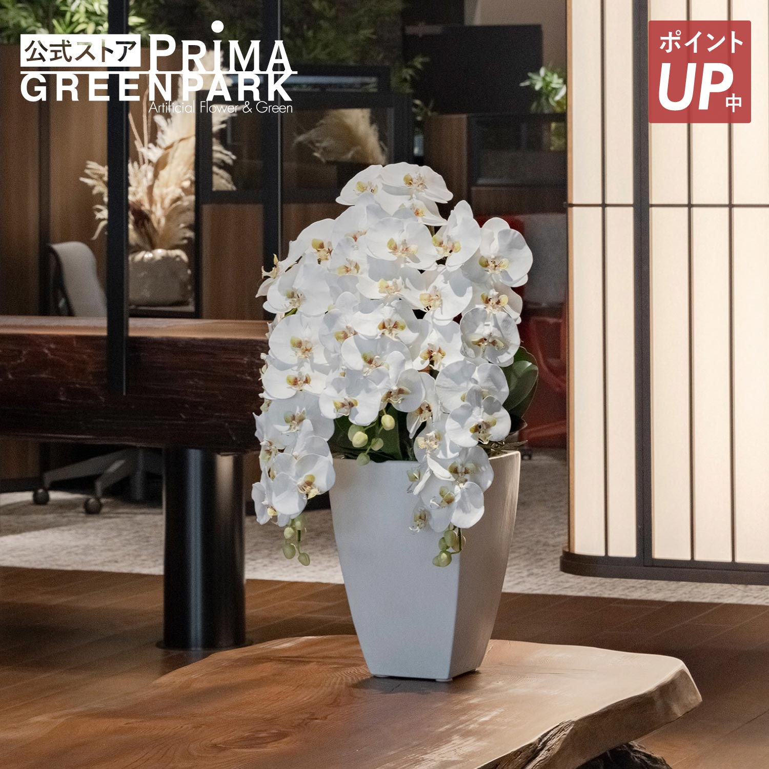 【ポイントUP】【公式】胡蝶蘭 大輪 3本立ち 白陶器 造花 フラワーアレンジメント | PRIMA フェイクフラワー インテリア フラワーギフト アートフラワー 開店祝い 開業祝い 法事 お供え アレンジ プレゼント フェイクフラワー｜PRIMA-GREENPARK