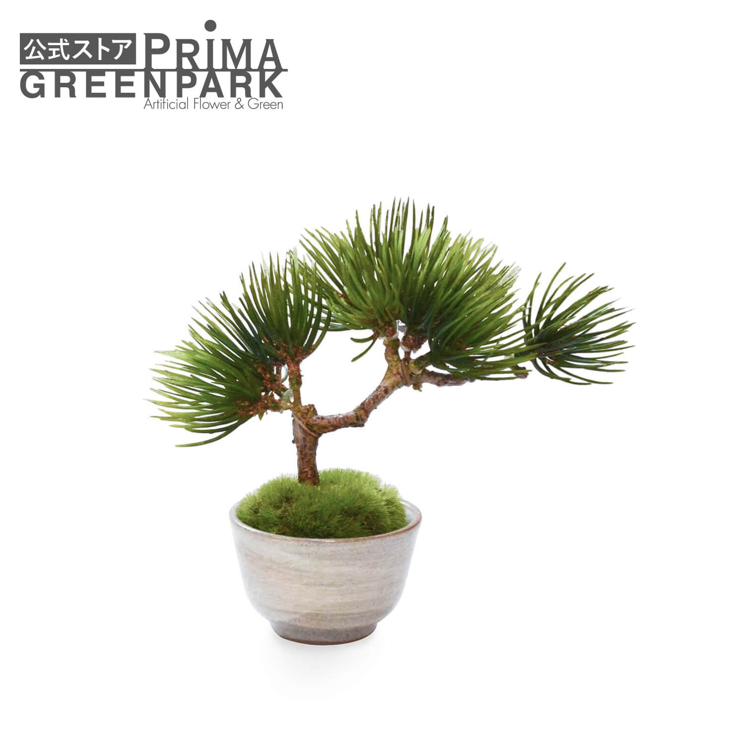 楽天市場】【公式】サンキライ 皿付小鉢 白 CUPBON 盆栽 フェイク